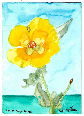 Thorned Poppy, Folegandros, Greece, 2022. Original Watercolour by Andrew Logan