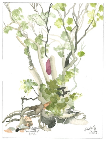 Tamarisc Tree, Folegandros, Greece, 2022. Original Watercolour by Andrew Logan